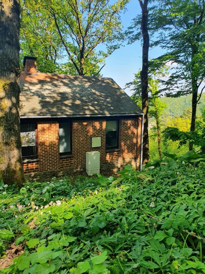 Envie De Vous Evader Dans La Vallee De La Meuse? Ferienhaus Hastiere-par-dela